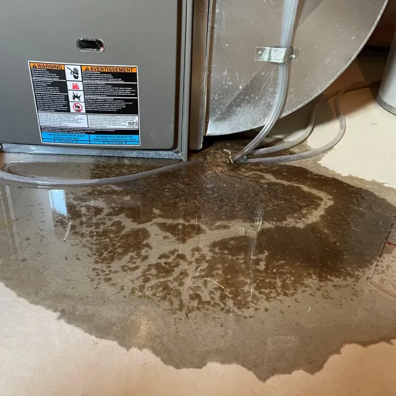 Appliance Leak Cleanup in Fallbrook, CA